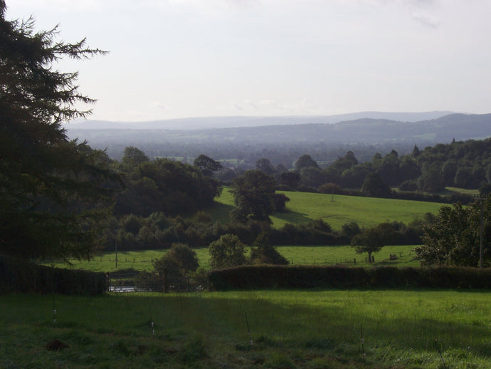 The Fields of Treflach