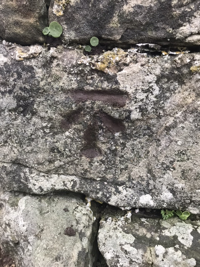 The Benchmark of Treflach