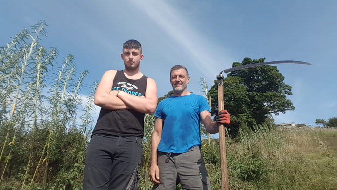 The best time to plant a tree...
