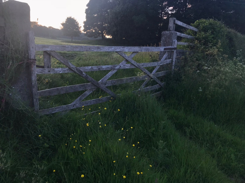 The Gateways of Treflach