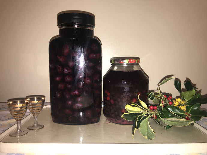 The Herbal Gins of Treflach