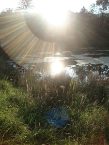 Bellan Brook feeding Treflach Farm Pool and onward to Sweeney Fen SSSI