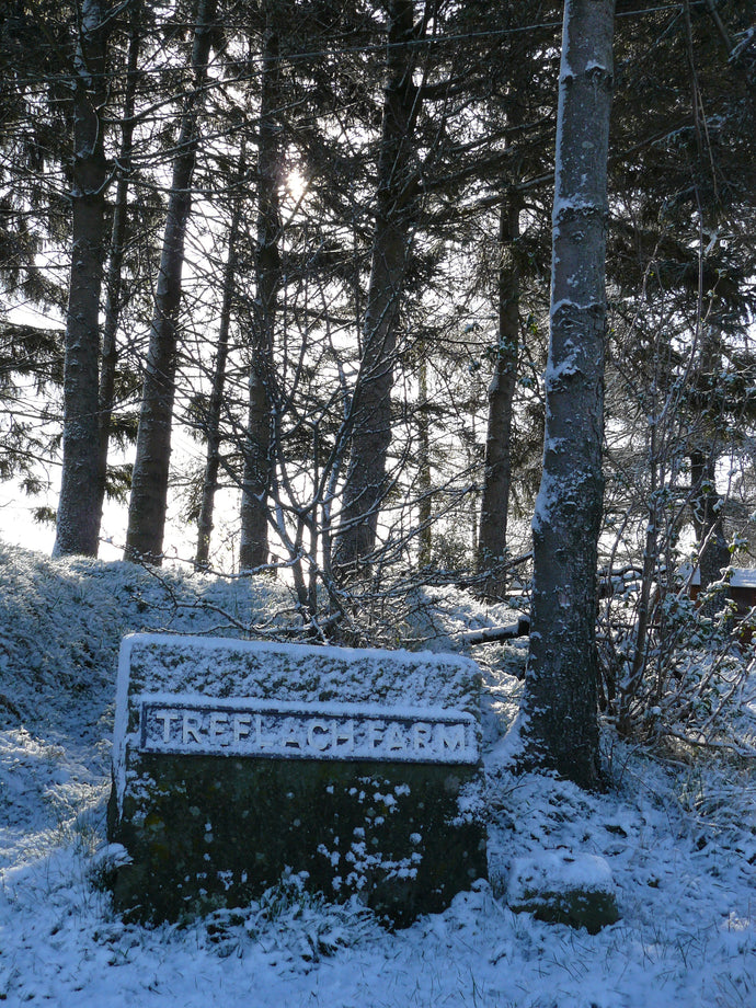Early winter in Treflach