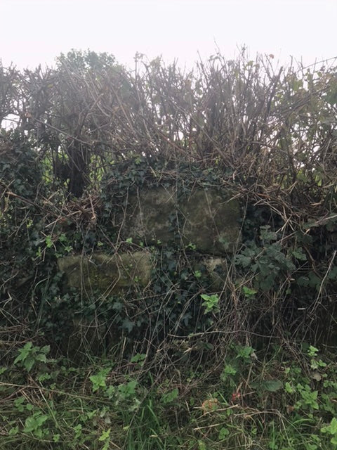 The Pinfold of Treflach