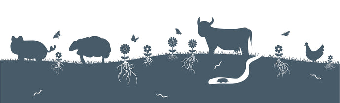 Soil