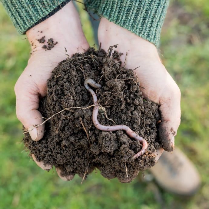 The plough, biodiversity, soil health and fresh air