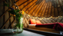 5m Yurt in Secluded 'Birch Hollow'